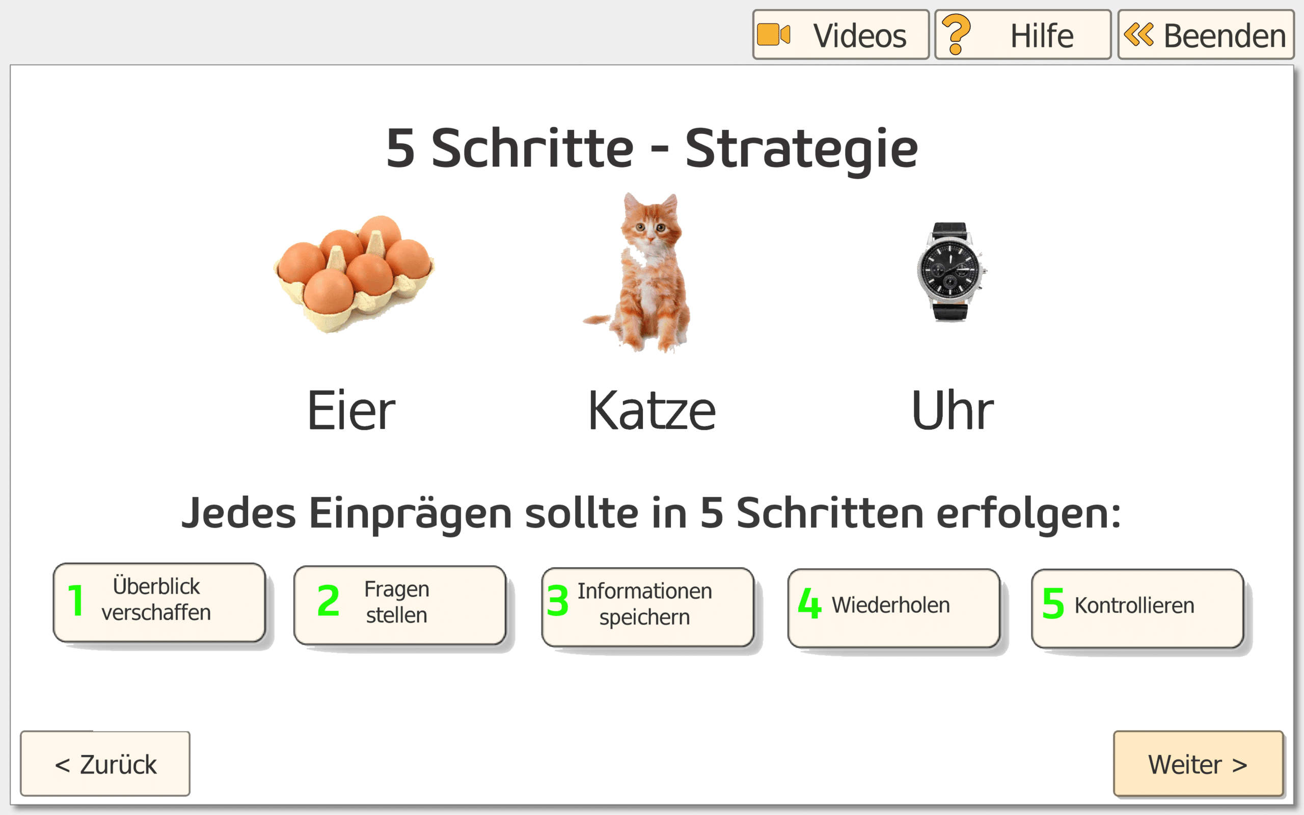 5-Schitte –Methode